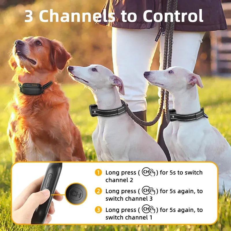 Digital Rechargeable Pet Training Collar